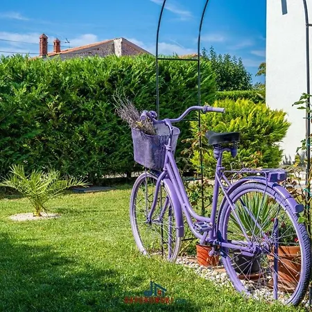 Renata In De Regio Porec فندق